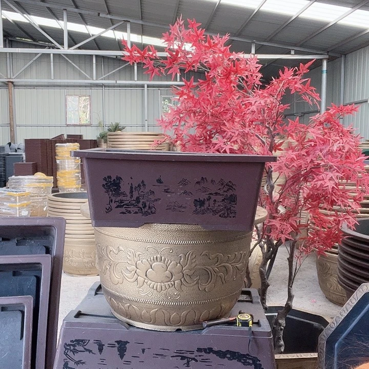 圆60两个有孔金色的