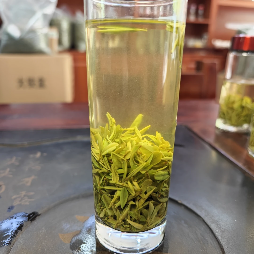 2025新茶17号明前茶老品种孝感茶叶孟宗大观山袋装250克栗香耐泡