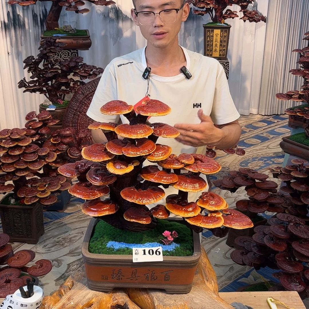 无花朵98888888888888