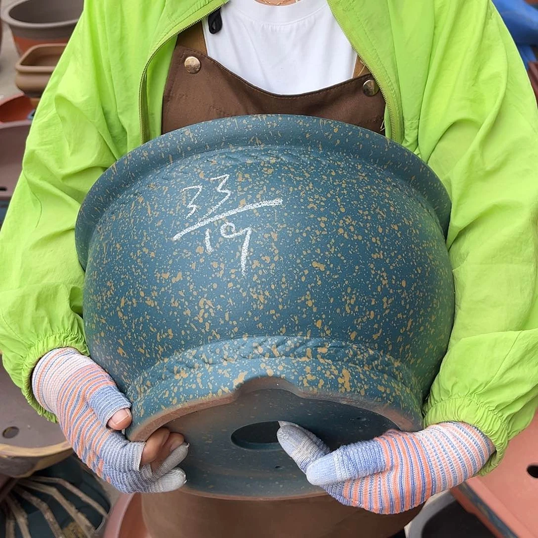 紫砂花盆盆景艺术