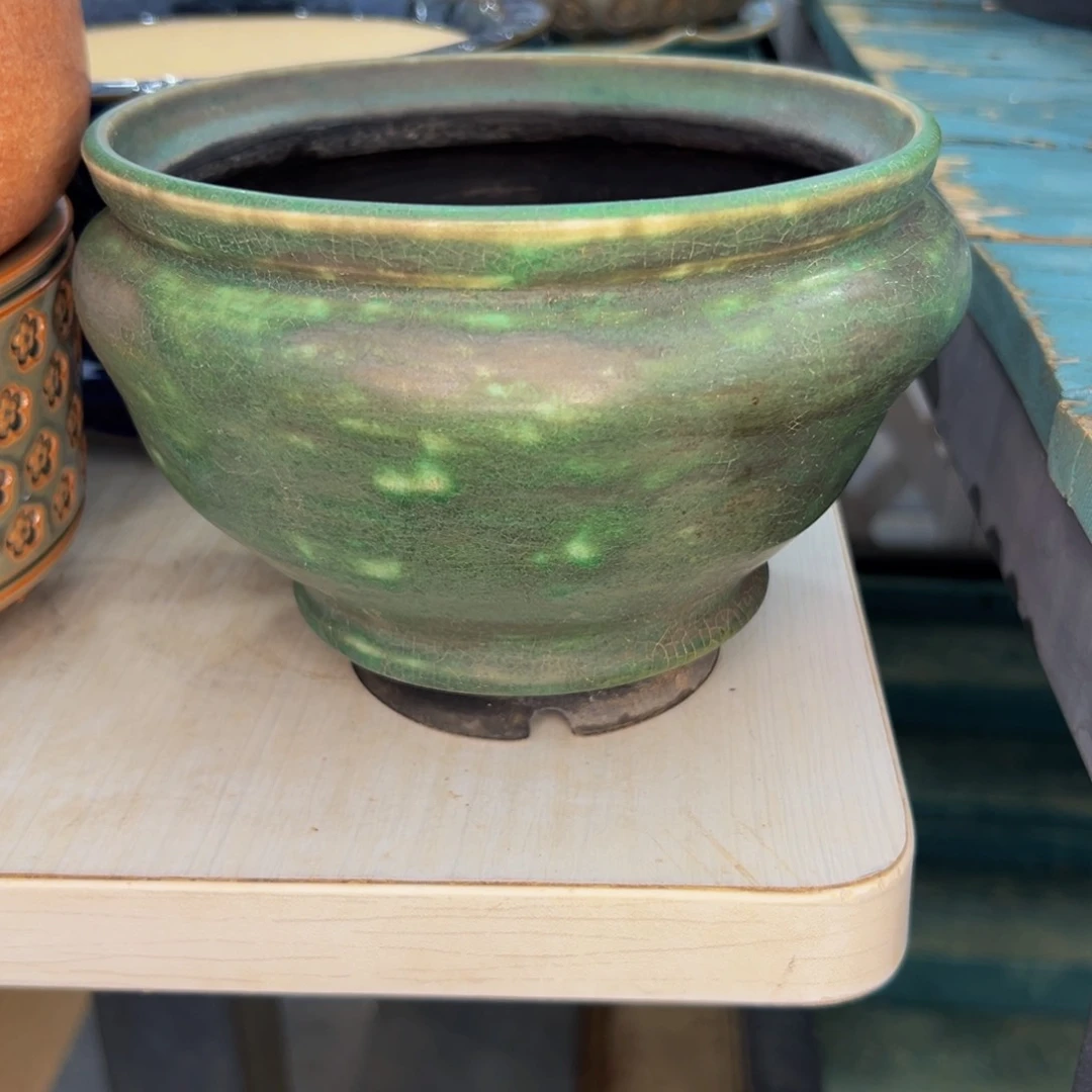 ?*风多肉一物一拍0704-167