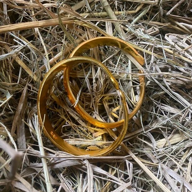 家居饰品家居饰品家居饰品家居饰品家居饰品JSZ