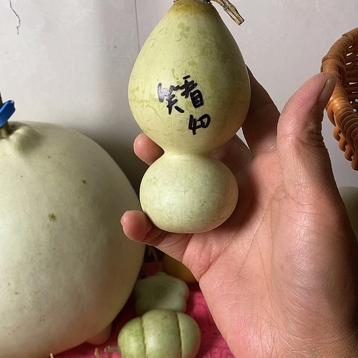 哼****青皮葫芦手把件葫芦