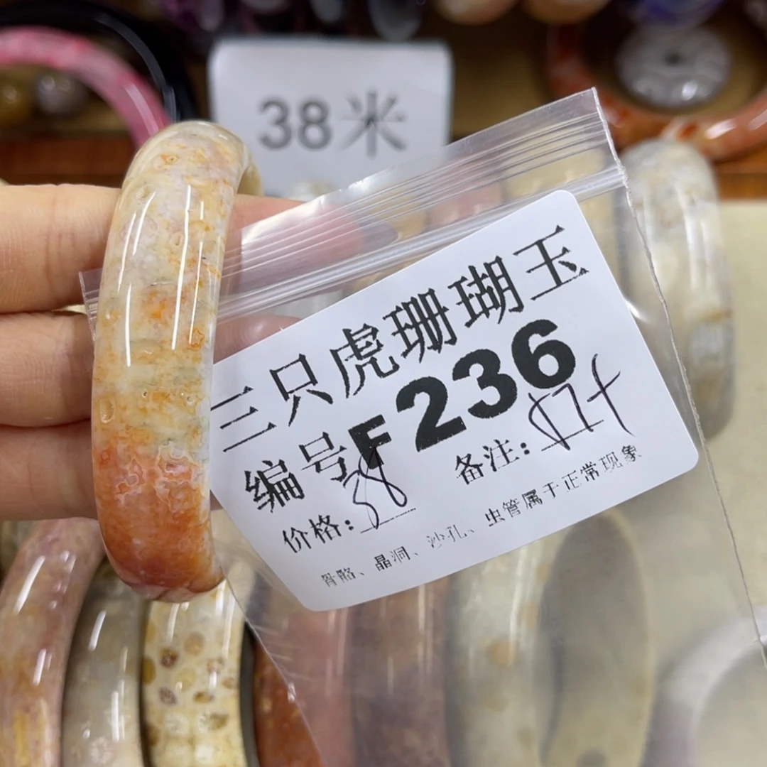 N***9未镶嵌h硅化珊瑚（珊瑚玉）