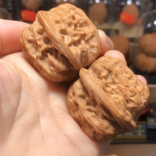 7***7野生小众：芭蕉扇