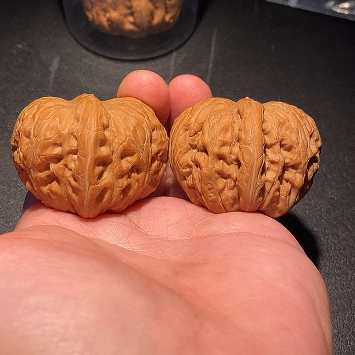 核桃手串/手链43元宝