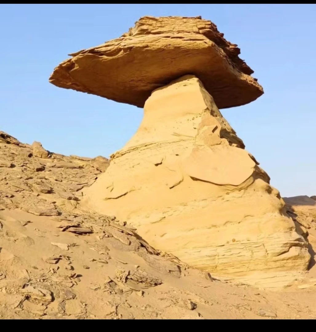 新疆戈壁奇石摆件（商品以直播间售卖为主，不支持抖店后台下单)