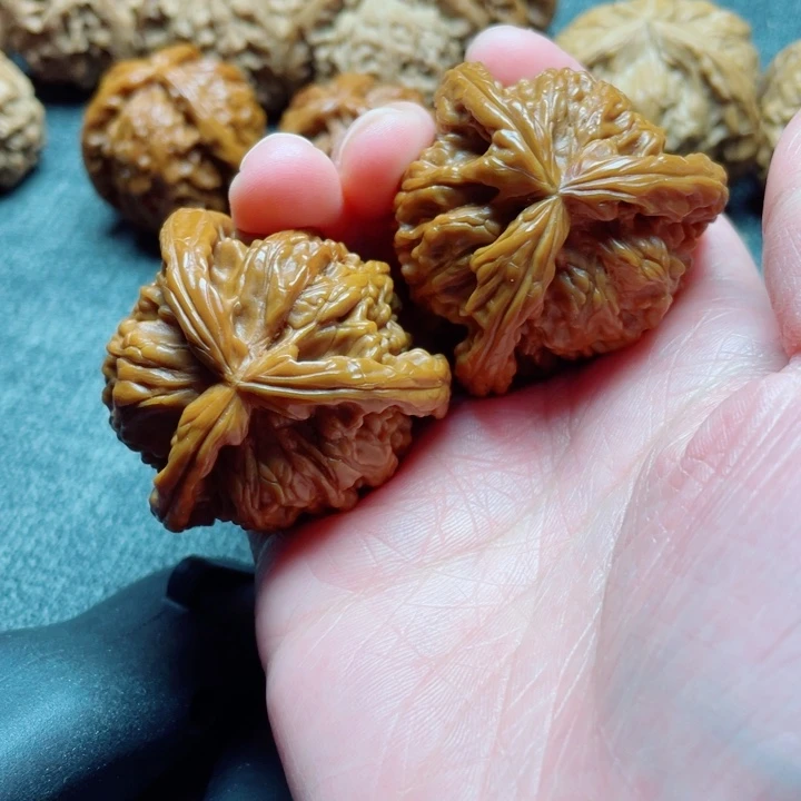 咏***枫手工三棱白狮子三棱