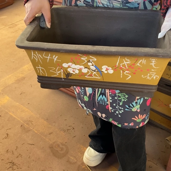 花盆紫砂只顾看手机