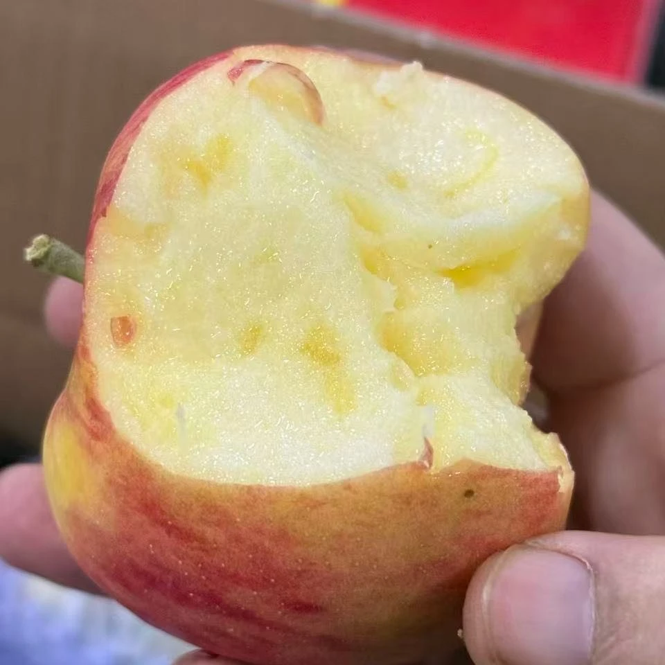 【秦脆苹果 】甜脆硬 新鲜水果/应季水果新疆维吾尔自治区