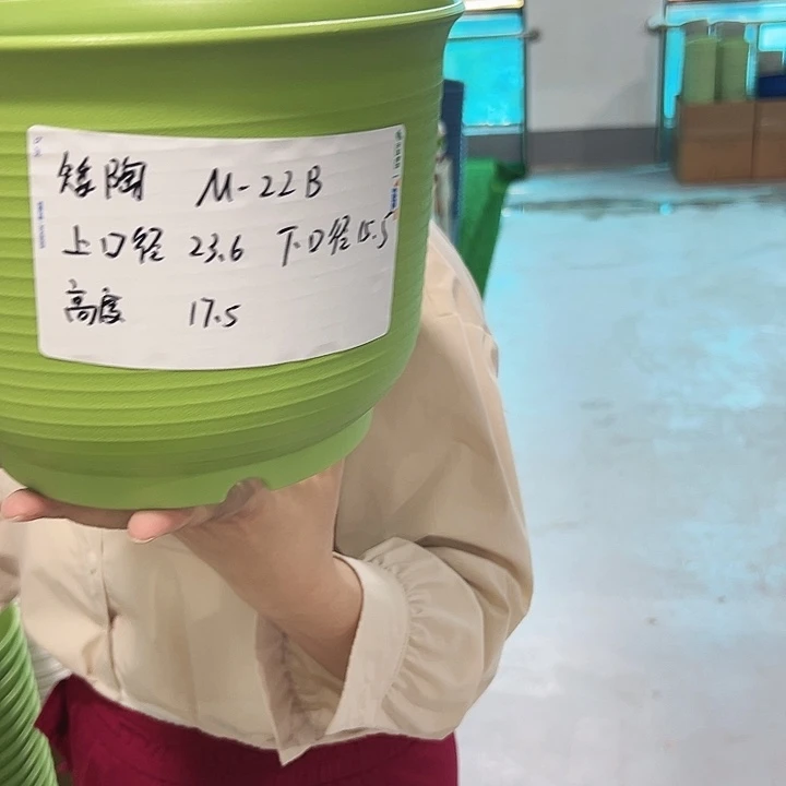 正品矮陶口24高17白色无托6只