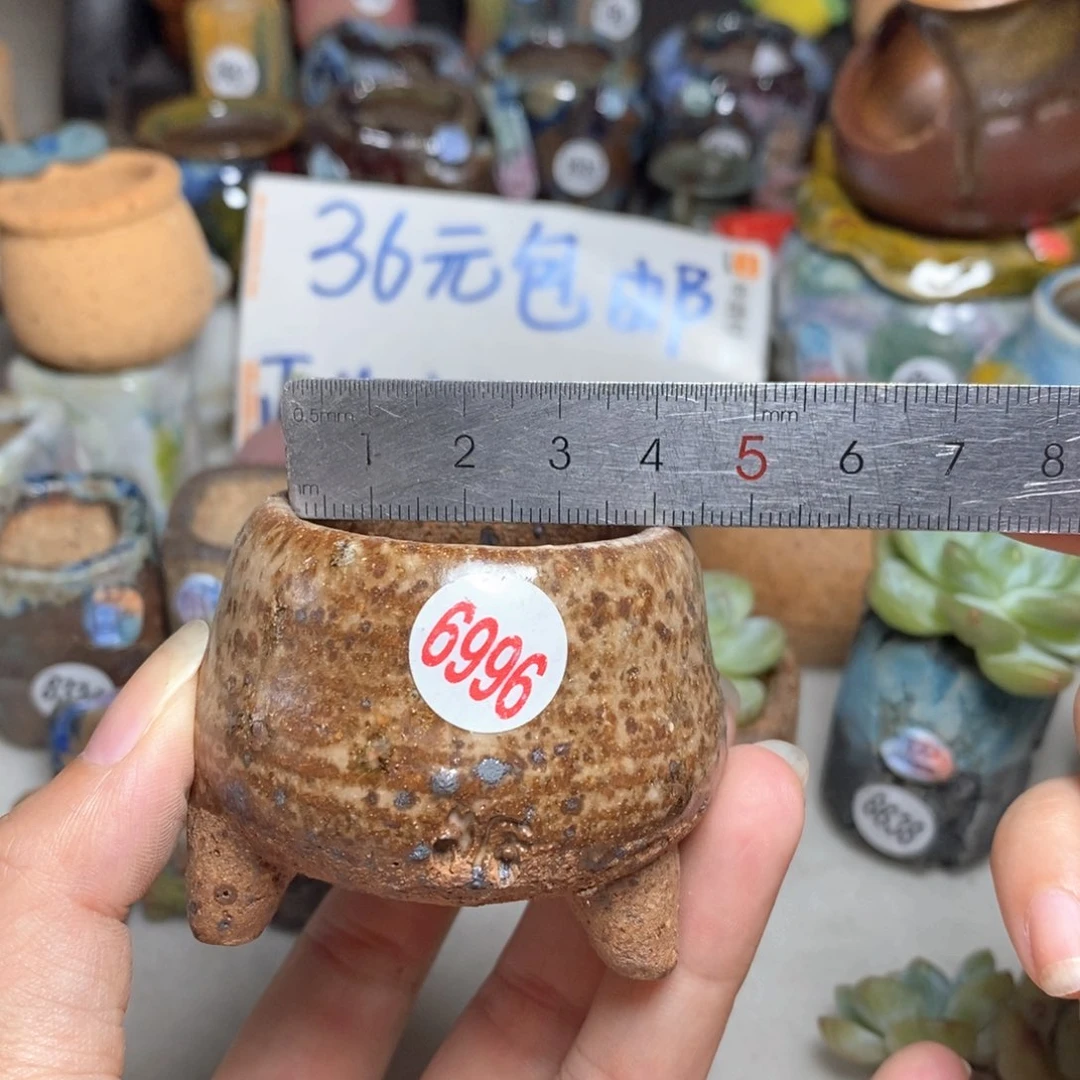 拍三送一9.9拍5送一送同款