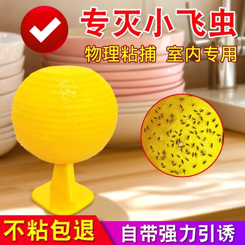 果蝇诱捕器小飞虫灭杀神器室内去除蚊虫克星果实蝇诱粘剂诱捕苍蝇