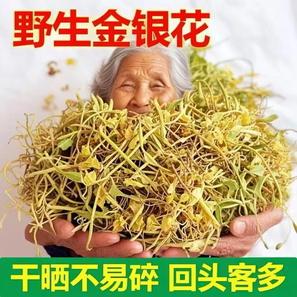 广西野生金银花干货新货花草茶正宗深山采摘干花可泡水