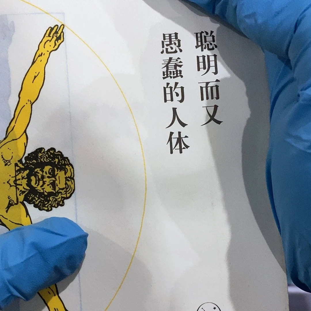 聪明又愚蠢的身体