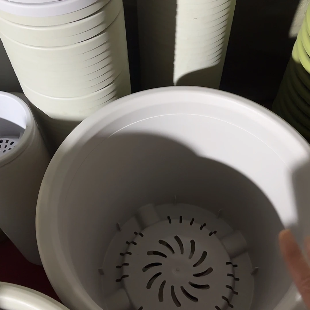 树脂四季9号无托4个果绿