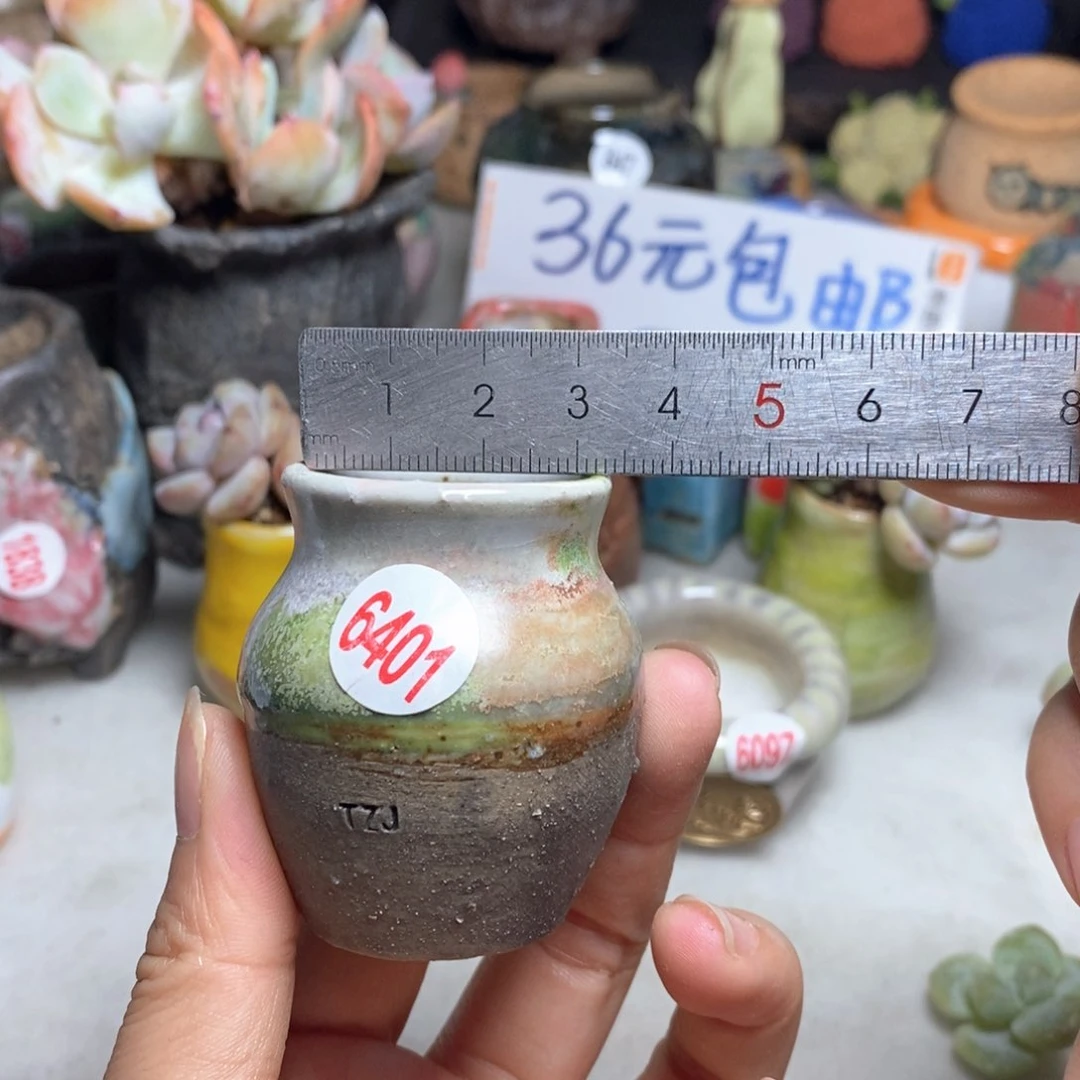 拍5送一个小礼物