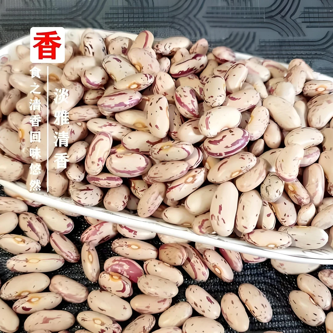 【25年新豆抢5斤包邮】农家正宗奶花芸豆原产地直发