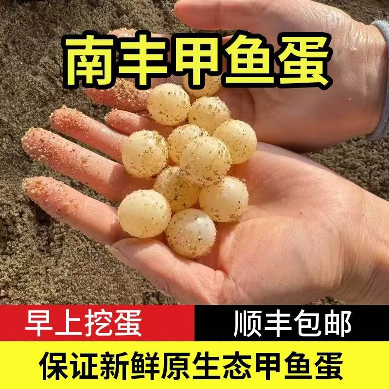 农家新鲜甲鱼蛋食用原生水鱼土鳖团鱼蛋王八蛋宝宝辅食送卤料包