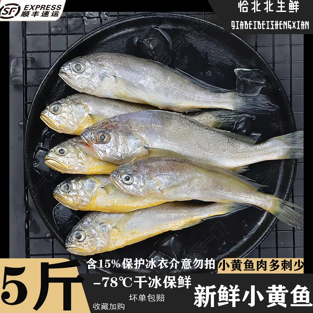 小黄鱼新鲜冷冻舟山东海速冻小黄花鱼烧烤油炸海鲜含冰衣共5斤