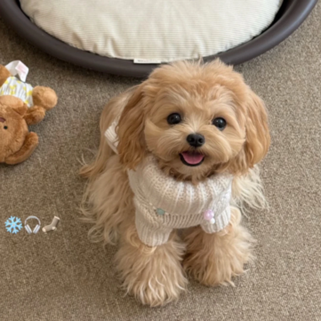 萌萌宠物补差价上门提货宠物用品