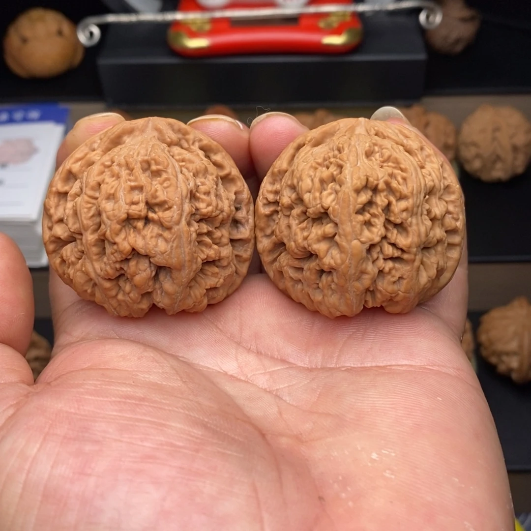 把件文玩核桃46大粗筋
