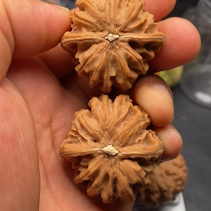 文玩核桃把件八道筋