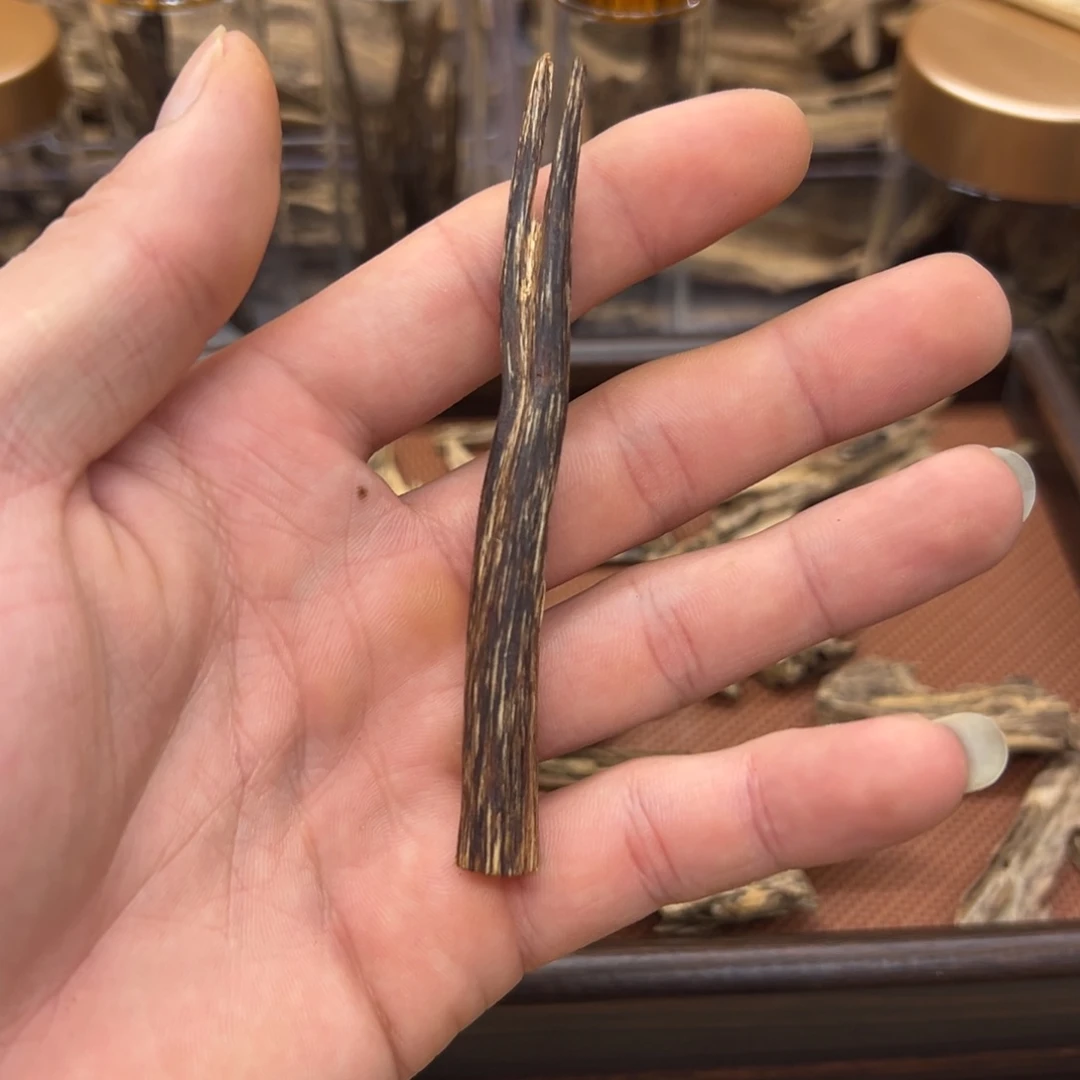 海南天然树心油3.1g