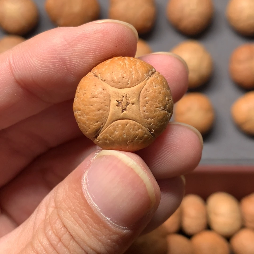 阿***雨凤眼菩提吊坠20.8mm尼泊尔麒麟，定制打孔，不退不换