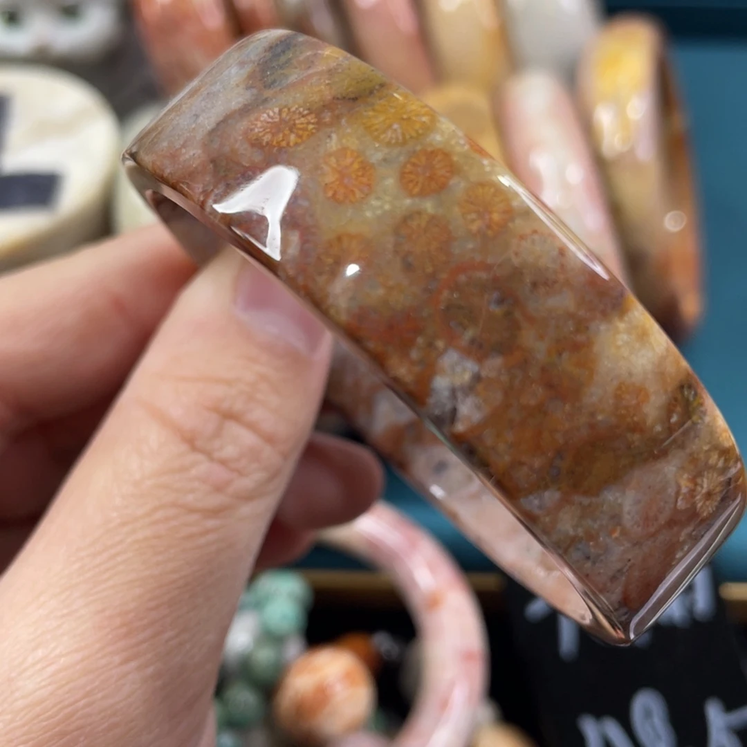 未镶嵌手镯硅化玉