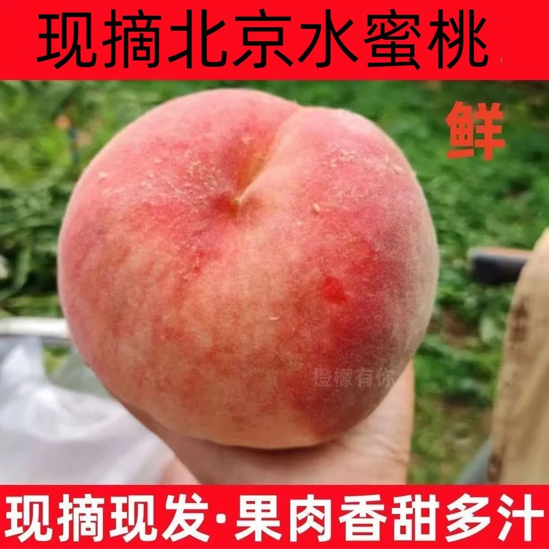【平谷绿化九桃子】现摘现发包邮到家孕妇果水蜜桃北京市