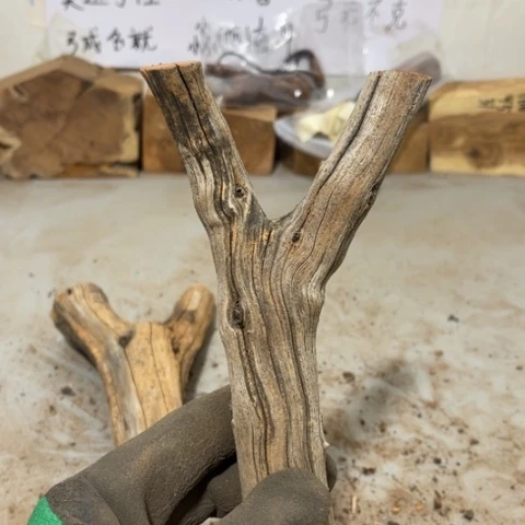 大果紫檀（缅甸花梨）雄***哥