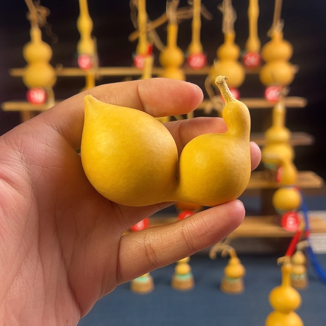 a***水葫芦头等多种口味的水果和