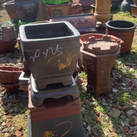 紫砂花盆紫砂花盆盆景盆栽