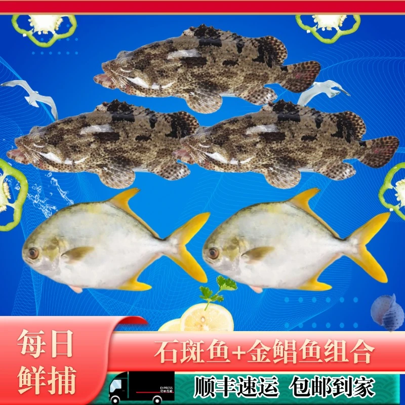 珍珠龙胆石斑鱼老虎斑*3+金鲳鱼*2海鲜深海鱼生鲜水产海鲜共4.5斤