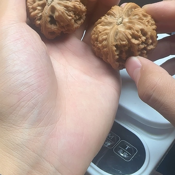 满***意龙脊菩提吊坠啊啊啊啊啊啊练手大粗筋21