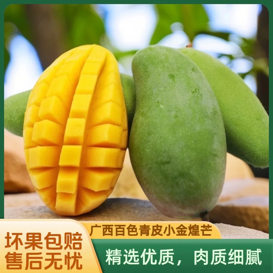 【源头好货】广西现摘青皮金煌芒3斤装  果热带新鲜水果 生熟可吃