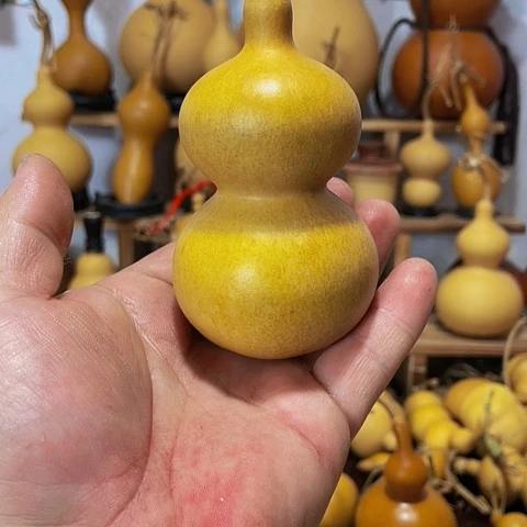 精品厚皮小八宝葫芦