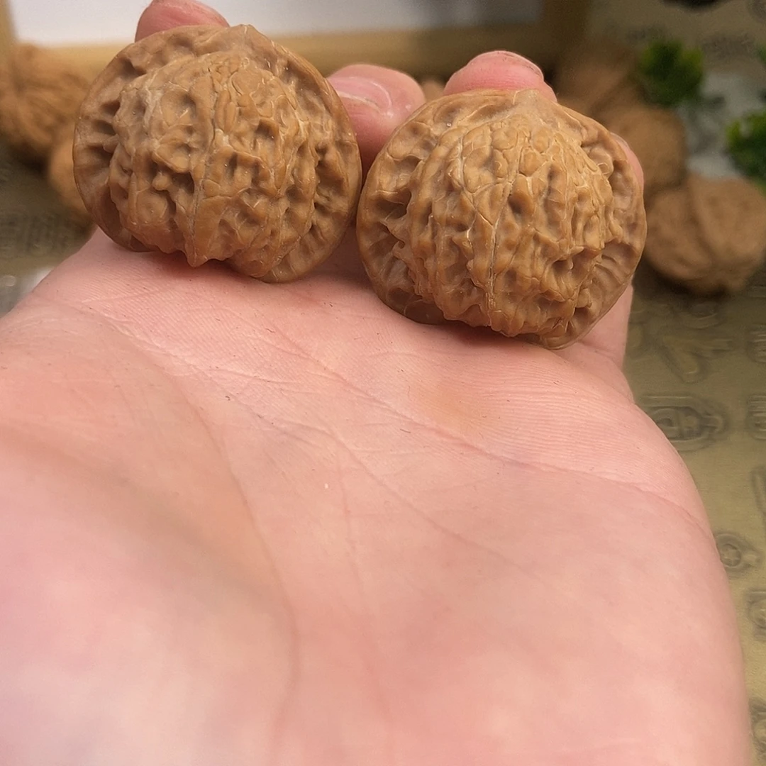 核桃盘山公子帽35尺寸红皮