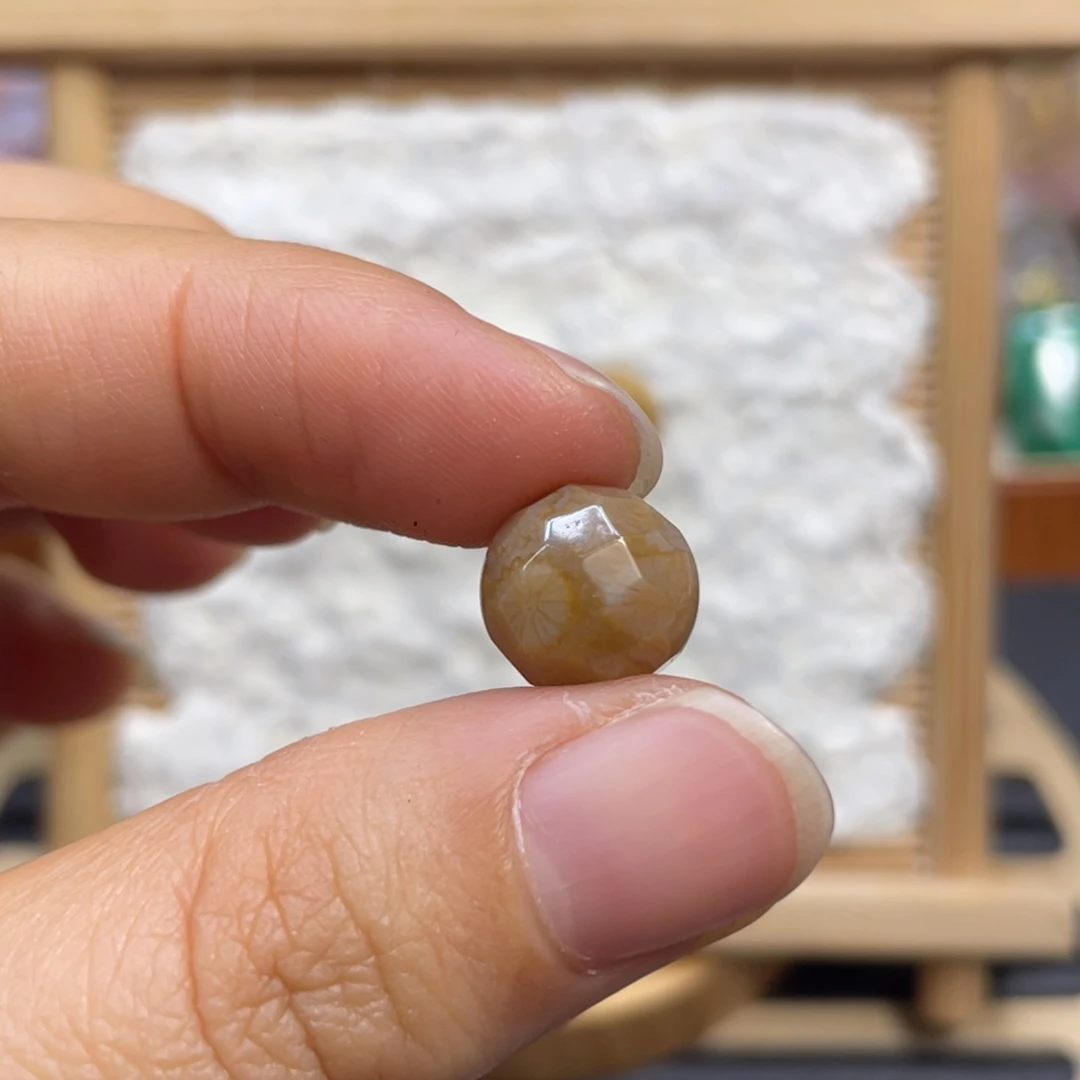 微****硅化玉未镶嵌颈饰k6