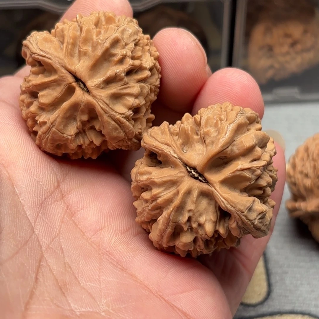 文玩核桃把件大沽石39