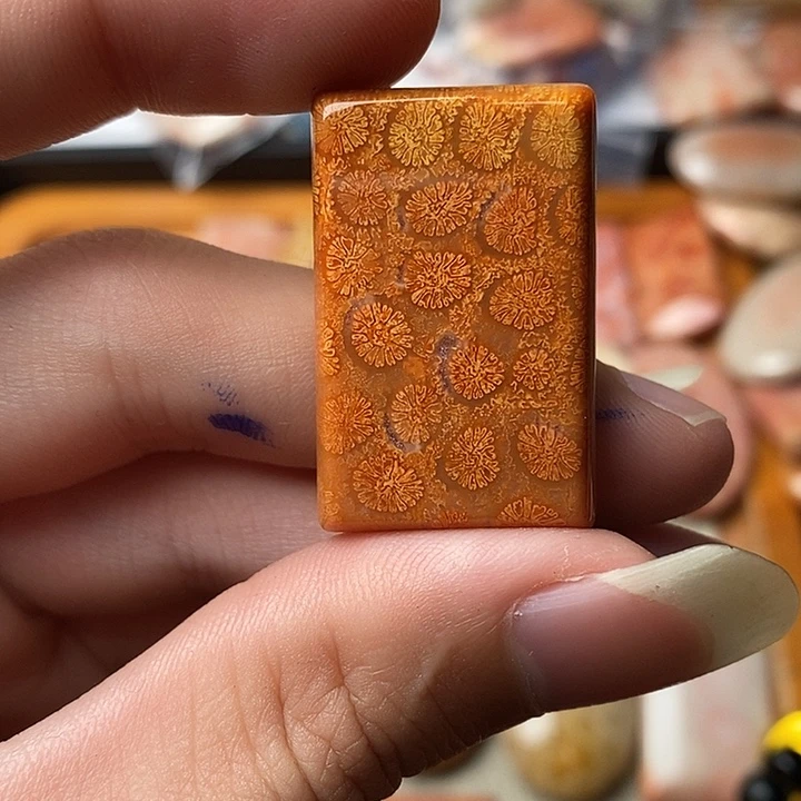 硅化玉颈饰未镶嵌知***人