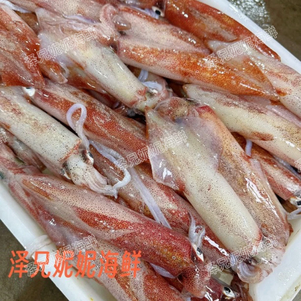 【泽妮精选】汕尾本港野生海钓鱿鱼 50%左右带籽 包脆包甜包不缩水