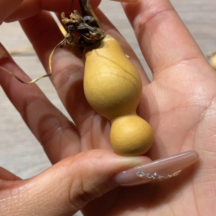 w**f葫芦葫芦葫芦葫芦