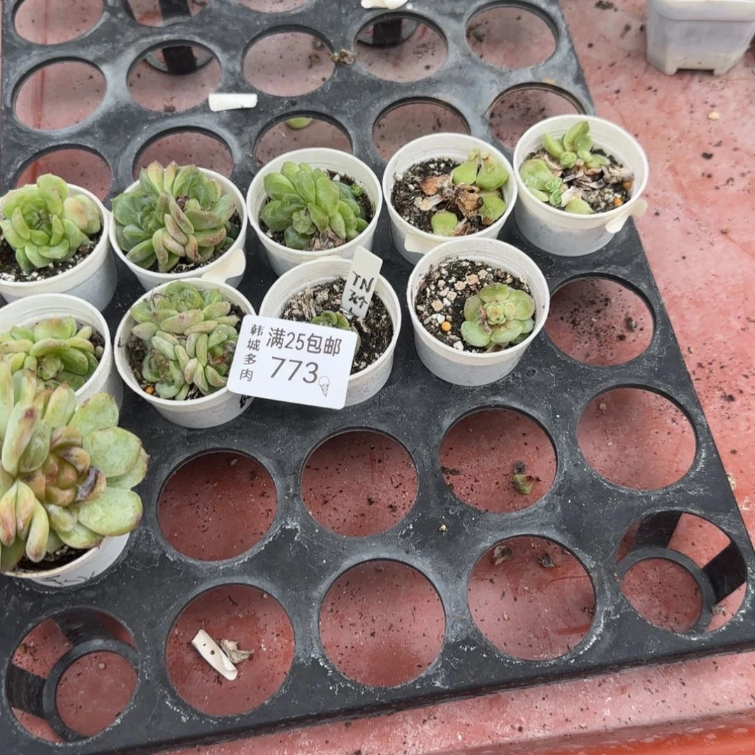 773 混合盆满20包邮