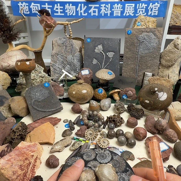 玉家居摆件家居标本