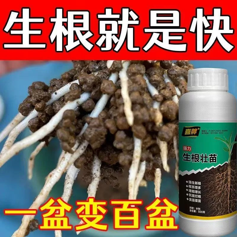 正品猛生根原液快速生根液粉生根壮苗剂苗木扦插花卉果树移植专用