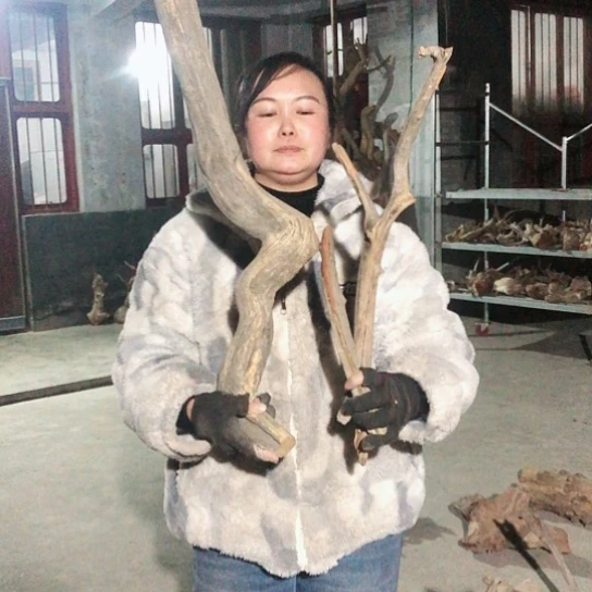 核桃木/黑胡桃（胡桃木）