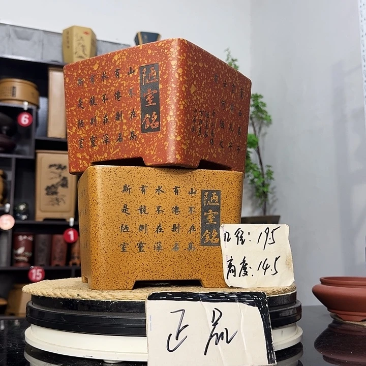 紫砂花盆盆友记紫砂花盆