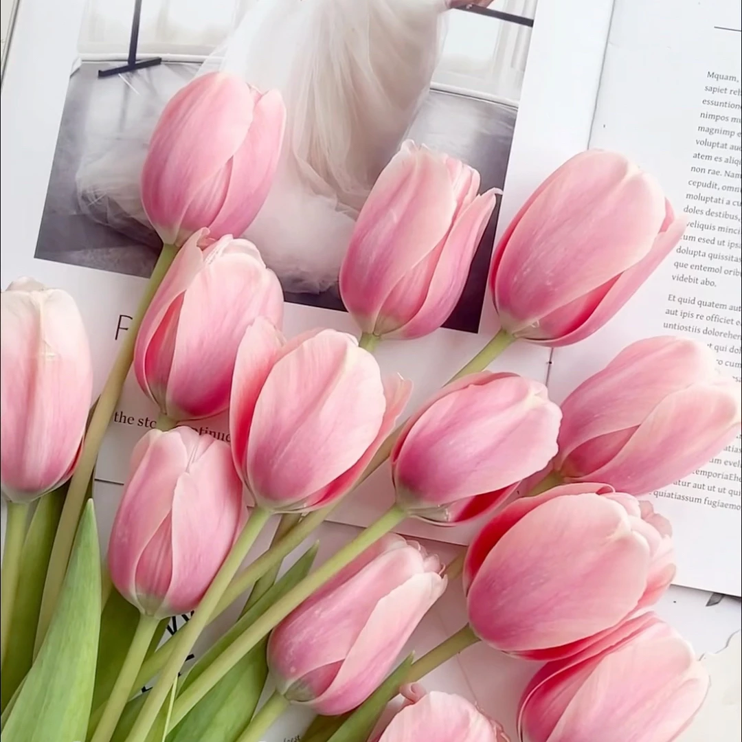（顺丰包邮）粉色三文鱼郁金香10支装家用商务用花连云港基地直发